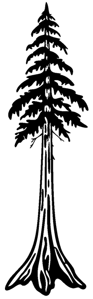 black-tree