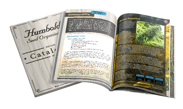 catalogue-small-1