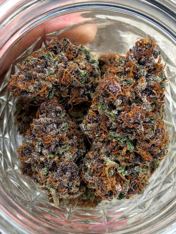 Forbidden Fruit Fast Flowering - Image 2