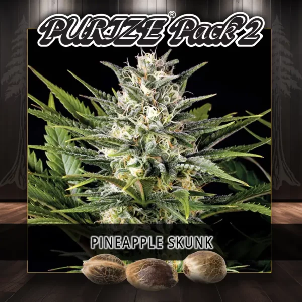 PURIZE® Multipack 2 - Image 2